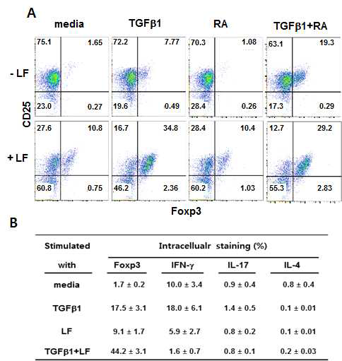 LF에 의한 Foxp3 발현 유도