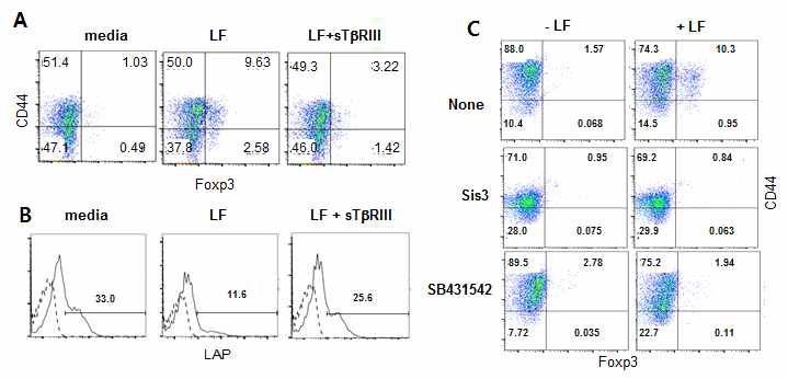 LF는 TbRIII→ LAPlowmTGFb→ cannonical TGF-β 신호전달을 통해 Foxp3 발현을 유도