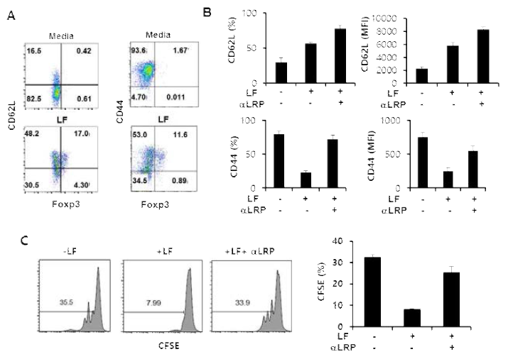 LRP1 (TbRV)는 CD62L, CD44, cell cycle 조절에 관여