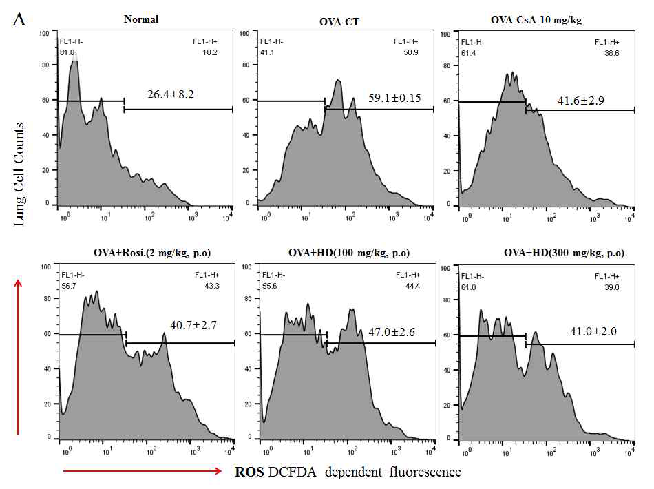 ROS generation in lung cells of asthma model mice. The production of ROS detected using the fluorescent probe DCFH-DA was assessed by flow cytometry and is shown by a histogram