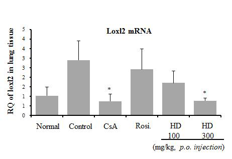 Effect of H. diomphalia, rosiglitazone on loxl2 gene expression in lung tissue, Results are expressed the mean±S.E (N=5)