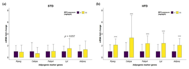 BPS 산전노출에 따른 마우스 성체기 (8-10주령)의 지방 과다 관련 유전자 mRNA 발현량 비교. (a) 생후 표준식이 (STD; standard diet) 그룹의 산전 BPS 비노출과 50 mg/kg/d 노출 영향 비교; (b) 생후 고지방식이 (HFD; high-fat diet) 그룹의 산전 BPS 비노출과 50 mg/kg/d 노출 영향 비교
