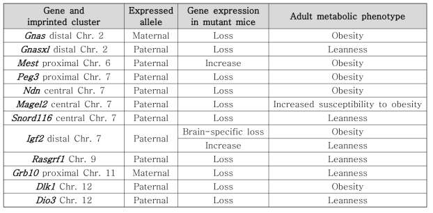 마우스 성체의 비만 또는 마름(leanness) 표현형에 관련된 각인 유전자들. (Modified from Peters, 2014)