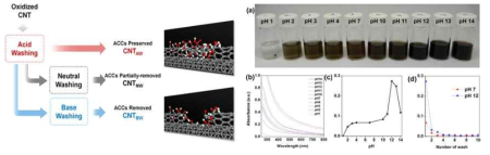 산화 CNT의 워싱 모식도 및 그에 따른 표면묘사, CNTAW의 pH에 따른 여과액 관찰 및 UV-VIS관찰, λ=550nm에서 pH에 따른, DI워싱 횟수에 따른 여과액의 흡광도