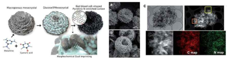 자기조립체를 이용한 기공구조가 조절되는 나노탄소 구조체를 만드는 과정 모식도, 장미모양 MCA와 적혈구모양의 나노탄소의 SEM, TEM 사진