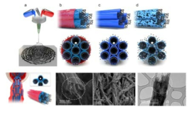 co-polymer system에서 한 방향으로 정렬된 1D 형태 탄소나노튜브 전기방사