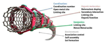 Metal-Organic Coordination Wrapping 탄소나노튜브 표면 처리법과 그에 관련한 이슈들