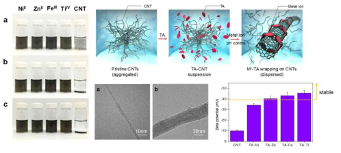 유기분자+전이금속 조립엔지니어링을 이용한 분산법, 다양한 전이금속을 이용한 1mg/ml 탄소나노튜브 분산 수용액 사진 (직후, 24시간 후, 30일 후) , 코팅된 HR-TEM이미지, Zetapotential 수치