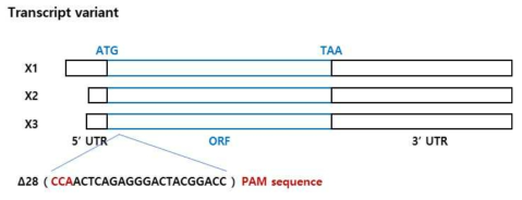 넙치의 tyrosinase gene-knockout을 위한 guide RNA target 서열 선정