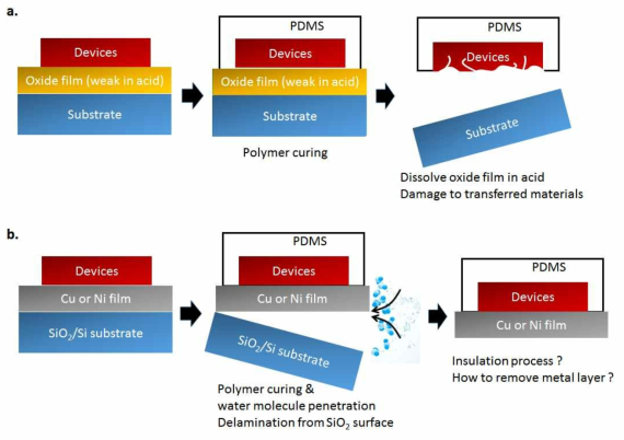 국내·외 연구동향 a. 용융점은 높고, 산에 쉽게 식각될 수 있는 산화물 층을 이용하여 flexible 소자를 구현하는 방법. 식각 과정에서 소자 재료 층에 부식 및 부작용을 초래할 수 있음 b. SiO2 층과 Ni 혹은 Cu와 같은 금속 박막 층사이로 물 분자를 침투시켜 기판으로부터 박리하여 flexible 소자를 구현하는 방법. 분리된 소자에 금속 층이 남아 소자의 절연 등의 문제를 초래함. 또한 상기 금속 재료를 식각 하는 과정 (건식 식각 혹은 흡식 식각)에서 a.의 방법에서와 같이 소자 재료 층에 손상을 초래할 수 있음