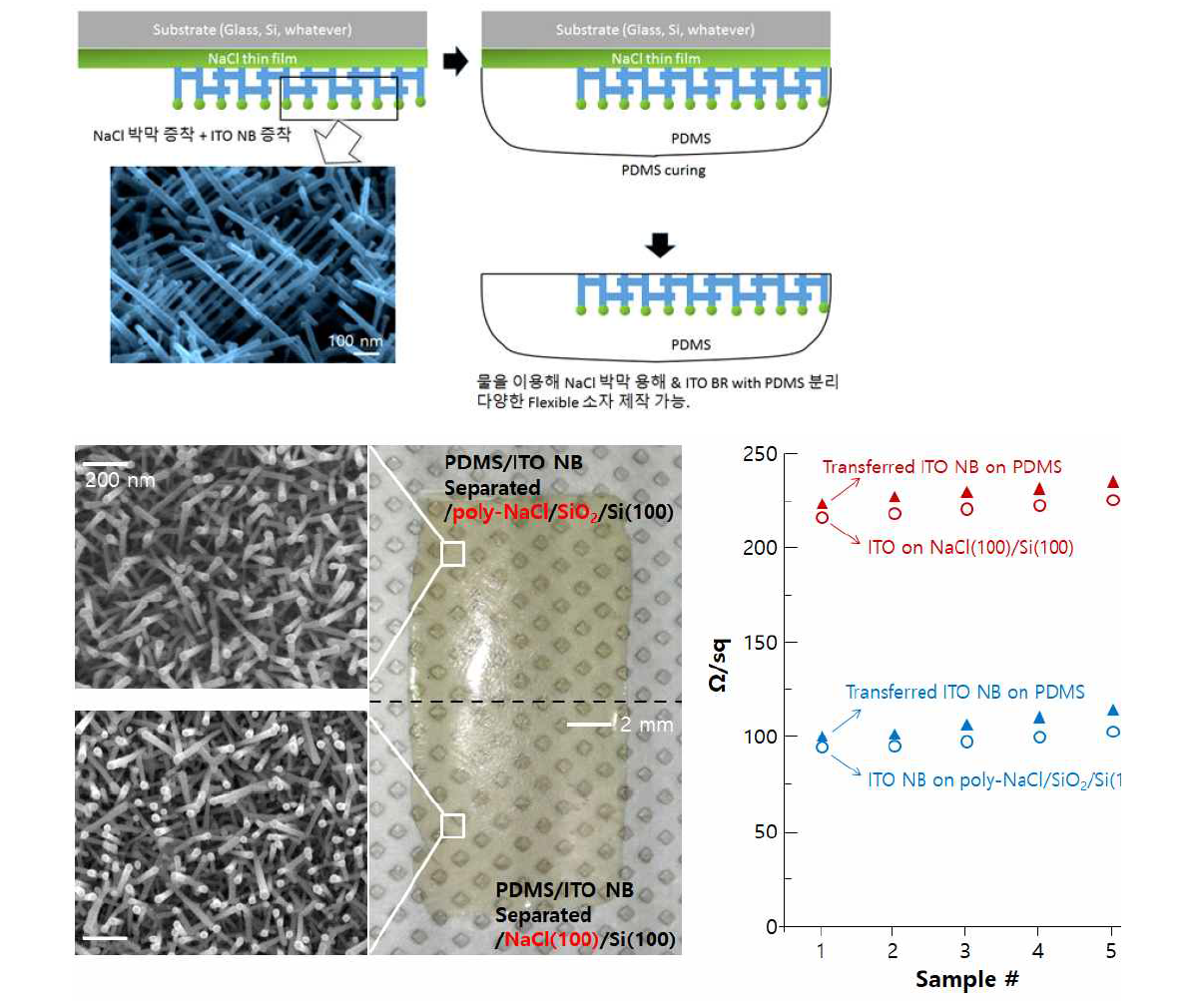 본 연구 과제에서 제안하는 ITO 나노 구조체 전사 방법과 실제 NaCl 희생층을 이용하여 PDMS에 전사한 ITO 나노 가지체의 전기 전도성 평가