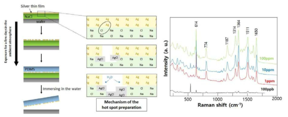 NaCl 필름상에 증착된 Ag 박막이 NaCl의 재결정과정에서 균열을 형성하게 되고 이를 활용하여 표면증강라만분광법 (SERS)에 적용하여 특성향상을 확인 한 결과