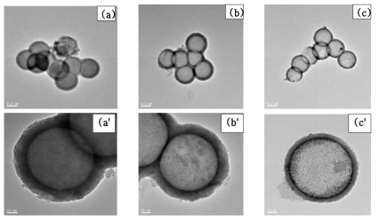 TEM images of (a, a') SiO2@ZrO2, (b, b') HZrO2 hollow sphere (H-ZrO2) and (c, c') Pt supported H-ZrO2 (Pt-H-ZrO2)