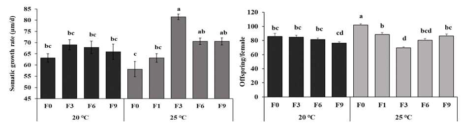 최적(20 ℃) 및 스트레스(25 ℃) 온도에서 D. magna의 세대별 성장(somatic growth rate) 및 생식(offspring/female)