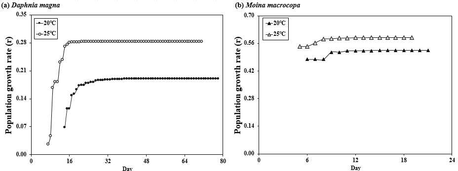 최적(20 ℃) 및 스트레스(25 ℃) 온도에서 물벼룩 개체군 성장률