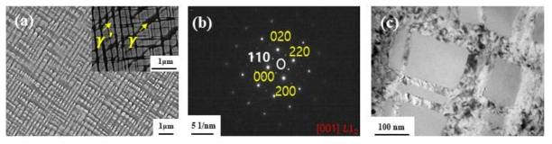 에이징된 Co-15Ti-3W 합금의 (a) SEM image, (b) TEM 회절 패턴 (c) TEM 암시야상