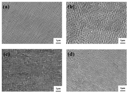 에이징된 합금의 SEM image ((a) Co-13Ti-3W-2Cr, (b) Co-13Ti-5W-4Cr, (c) Co-13Ti-3W-3Al 및 (d) Co-13Ti-3W-6Al)