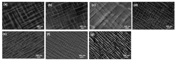 에이징된 합금의 SEM image ((a) Co-12Ti, (b) Co-12Ti-4Cr, (c) Co-12Ti-4V, (d) Co-12Ti-4Mo, (e) Co-12Ti-4Mo-2Al, (f) Co-12Ti-4Mo-2Cr 및 (g) Co-12Ti-4Mo-4Cr)