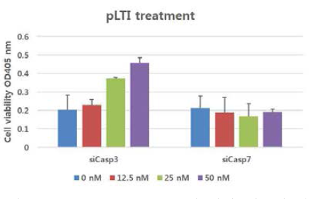 siCasp-3, siCasp-7에 의한 세포의 사멸 억제