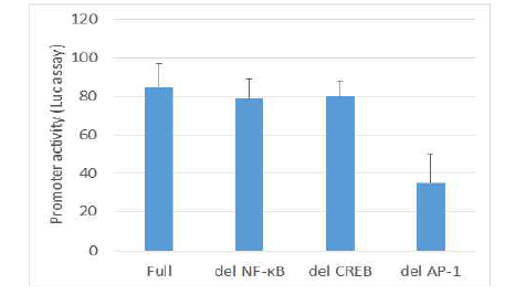 Deletion mutant Bcl2A1 promoter를 이용한 주요 transcription factor 예측