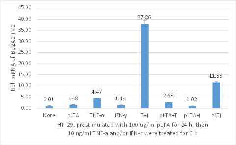 TNF-α+INF-γ 동시 처리에 의한 Bcl2A1 TV1의 발현증가 및 pLTA 전처리에 의한 발현 억제