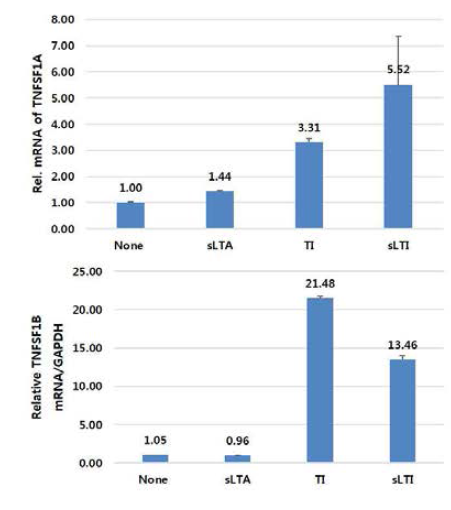 TNF-α receptor (TNFSF1A-cell death receptor, TNFSF1B-cell survival receptor) mRNA 발현변화