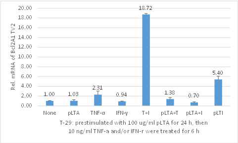 TNF-α+INF-γ 동시 처리에 의한 Bcl2A1 TV2의 발현증가 및 pLTA 전처리에 의한 발현 억제