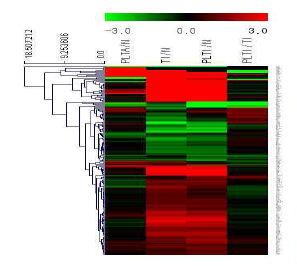HT-29 대장암 세포에서 pLTA, TNF-α, INF-γ에 의한 유전자 발현 변화를 RNA sequencing을 통해 분석