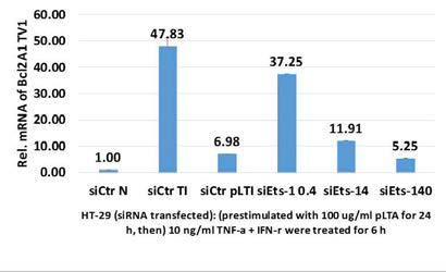 siRNA가 도입된 암세포에 TI를 처리 한 후 Bcl2A1 TV1의 mRNA level 확인