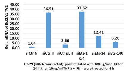 siRNA가 도입된 암세포에 TI를 처리한 후 Bcl2A1 TV1의 mRNA level 확인