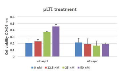 siCasp-3, siCasp-7에 의한 세포의 사멸 억제