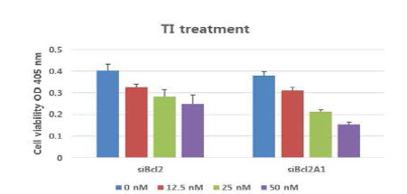 Bcl2A1, Bcl2 발현 억제는 세포의 사멸을 유도함