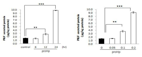 ProHp에 의한 PlGF 단백질 분비 증가: ELISA 실험