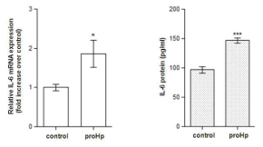 ProHp에 의한 IL-6 발현의 상향조절
