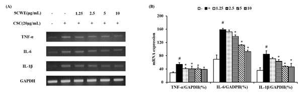 소청룡탕의 CSC로 자극된 H292 세포에서 염증성 매개체 생성에 미치는 영향