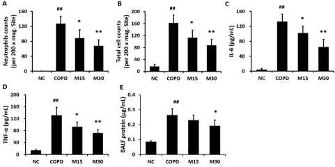 멜라토닌의 COPD 마우스에서 BALF 내 염증성 매개체 생성에 미치는 영향