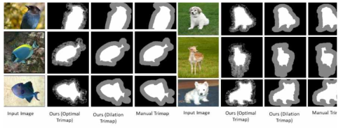 Automatically generated trimaps vs. manually produced trimaps (salient object dataset