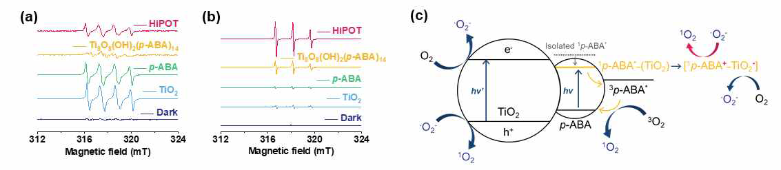 HiPOT에 의해 생성된 DMPO-O2 -·(a)와 4-oxo TMPO의 EPR spectra(b). HiPOT에 의한 O2 -·와 1O2 의 생성 메커니즘 (c)