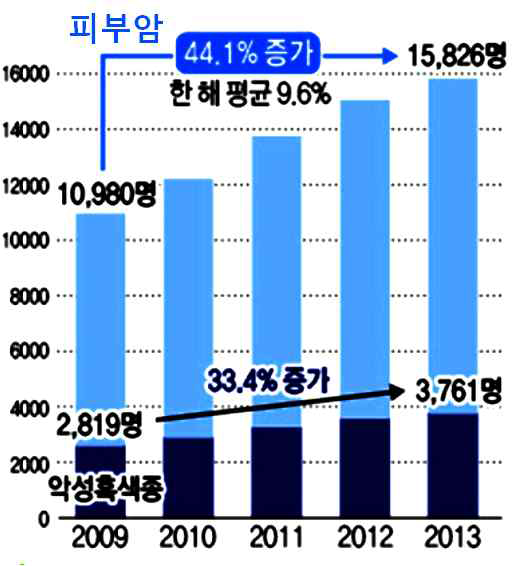 국내 피부암 및 흑색종 환자의 유병률