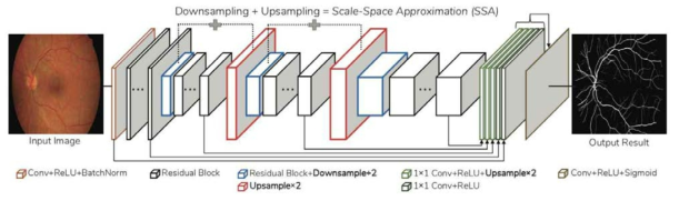 개발된 SSANet 기법의 CNN 구조도. 기존 CNN 구조에서 downsampling 하는 레이어 이후에 upsampling 레이어를 추가하여 downsampling+upsampling을 결합한 scale-space approximation 레이어를 형성함. 이를 통해 다양한 굵기의 혈관 영역을 추출하기 위한 다중스케일 특징을 추출하여 혈관 추출 정확도를 향상시켰음