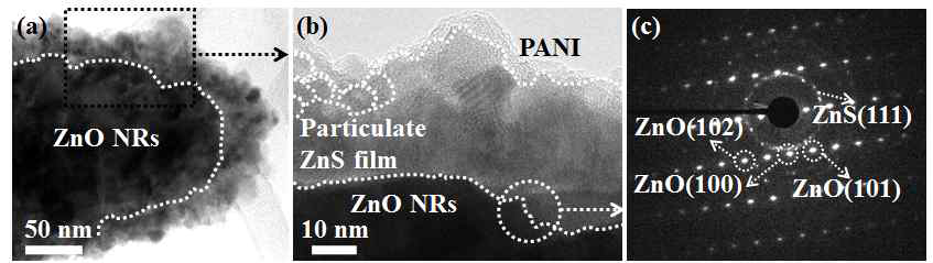 탄소계열 가시광촉매 PANI 코팅 광전극 TEM 이미지
