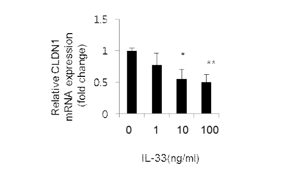 IL-33 농도별 CLDN-1의 발현