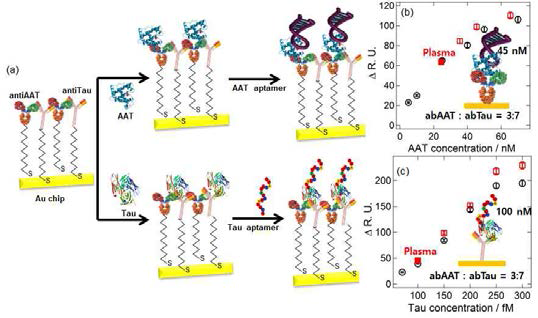 (a) 혼합형 항체칩 센서 모식도 및 (b) 플라즈마 내에서 nM 범위에서 AAT, (c) fM 범위에서 Tau를 검출한 정량분석 데이터