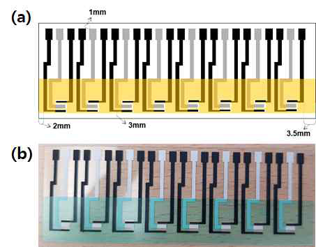 (a) Chip 1에서 절연체를 추가한 형태의 새로운 도안(chip 4) 및 (b) 실제전극 사진