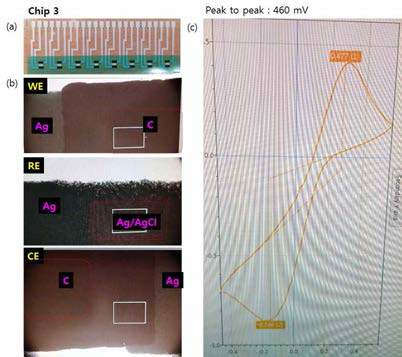 chip 3의 (a) 실제 사진, (b) 현미경으로 확대한 각 전극 부위별 사진 및 (c) K3[Fe(CN)6] 반응을 이용한 순환전압전류법 데이터