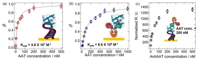 AAT와 (a) 압타머칩 및 (b) 항체칩과의 결합력 확인과 (c) 압타머칩 기반의 샌드위치 플랫폼의 SPR 데이터