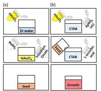 양추형 및 로드 모양의 금 입자 합성을 위한 (a) seed와 (b) growth 용액 제작 모식도