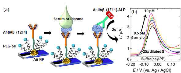 (a) 모델 단백질 분석을 위한 금 나노입자융합형 탄소칩 기반의 전기화학센서 모식도. (b) 실제 세럼시료에서 단백질 검출 데이터