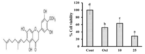 MTT assay after incubation with CJK-7 (10 and 25μM) and oxaliptatin (25μM) for 24 h in HCT-116 cells