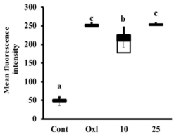 Fluorescence images of cellular ROS production observed under a fluorescence microscope and quantified with ImageJ software for fluorescence intensity of H2DCFDA stain